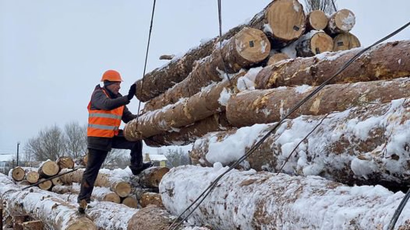 З початку року держпідприємство «Ліси України» на Волині та Рівненщині на потреби ЗСУ поставили майже 1400 кубометрів круглих  лісоматеріалів
