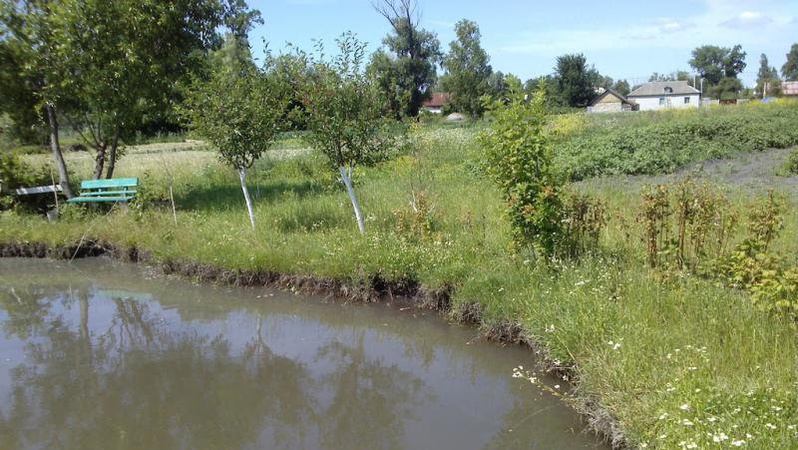 Викладача Рожищенського коледжу оштрафували за те, що викопав на своїй землі ставок