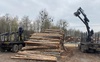На деревопереробному підприємстві Волині – масштабні обшуки