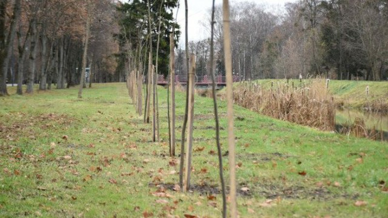 У луцькому парку висадили 85 саджанців дерев. ФОТО