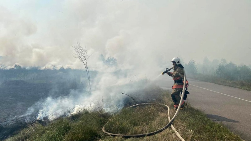 Волинські рятувальники ліквідували 5 пожеж на відкритих територіях. ФОТО