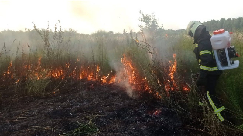 На Волині загорілась суха трава: вогонь охопив майже гектар