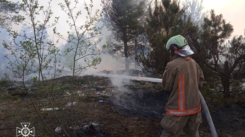 На Волині горіли два сміттєзвалища