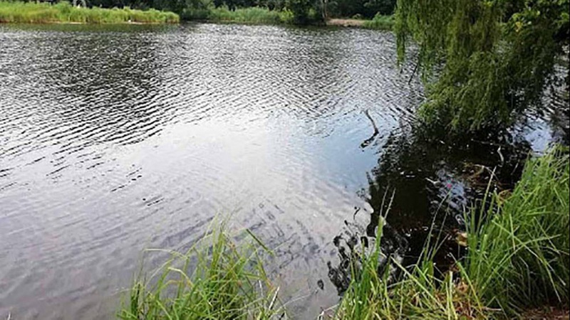 На Волині з водойми дістали тіло чоловіка