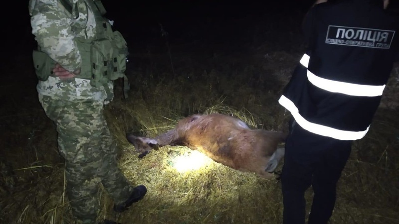 Волинські прикордонники виявили браконьєра на квадроциклі, який застрелив оленя