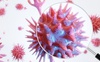 Симптоми Delta-варіанту коронавірусу: хто найчастіше інфікується штамом