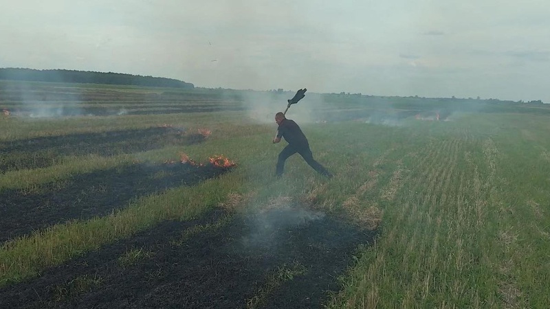 Спалювати стерню та суху рослинність заборонено. ФОТО