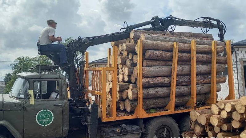 У селі на Волині правоохоронці вилучили 15 кубометрів незаконно зрубаної деревини