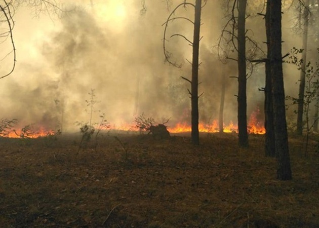 Волинянин заплатить понад 88 тисяч за те, що підпалив ліс
