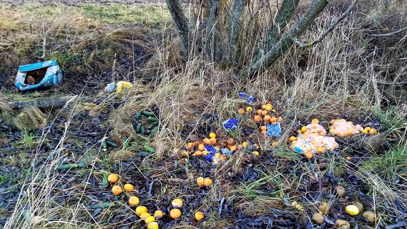 Поблизу волинського села невідомі викинули мандарини й огірки
