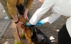 У Луцьку розпочали безплатно вакцинувати тварин від сказу: графік