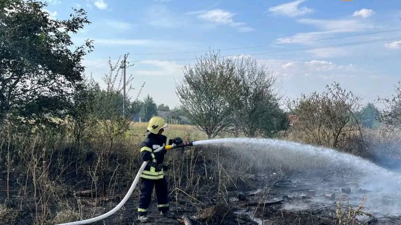 Волинські рятувальники ліквідували дві пожежі у екосистемах. ФОТО