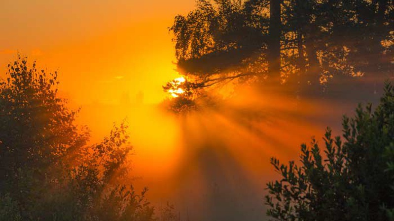 Діденко прогнозує Україні суху погоду, багато сонця та ранкові тумани