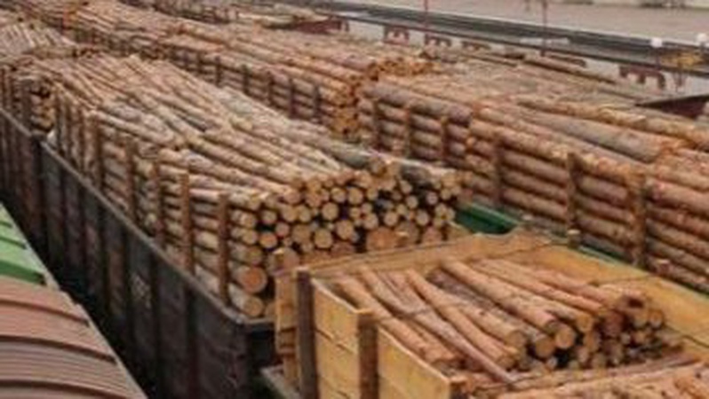 Волинь забезпечуватиме деревиною усю прифронтову Миколаївщину