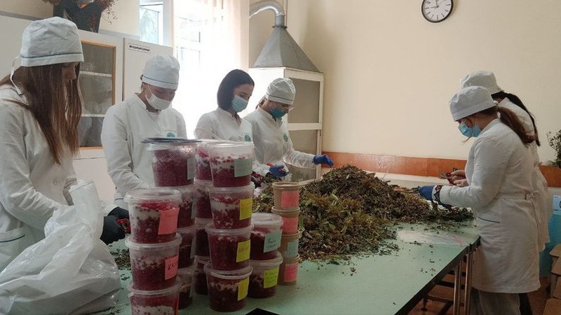 На Волині студенти-фармацевти виготовили для військових більше двох тонн мазей і чаїв