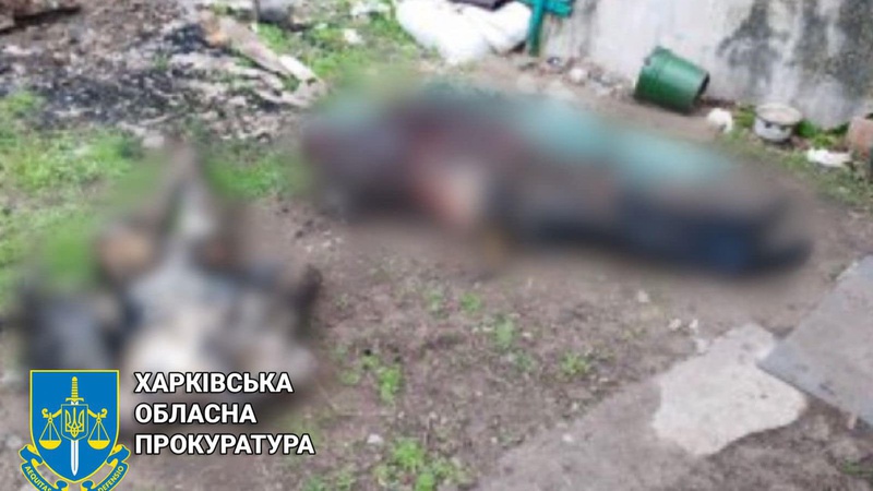У звільненому селі на Харківщині знайшли закатовані та спалені тіла мирних мешканців