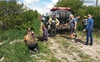 На очисних спорудах у Нововолинську серйозно травмувалися працівники підприємства. ВІДЕО