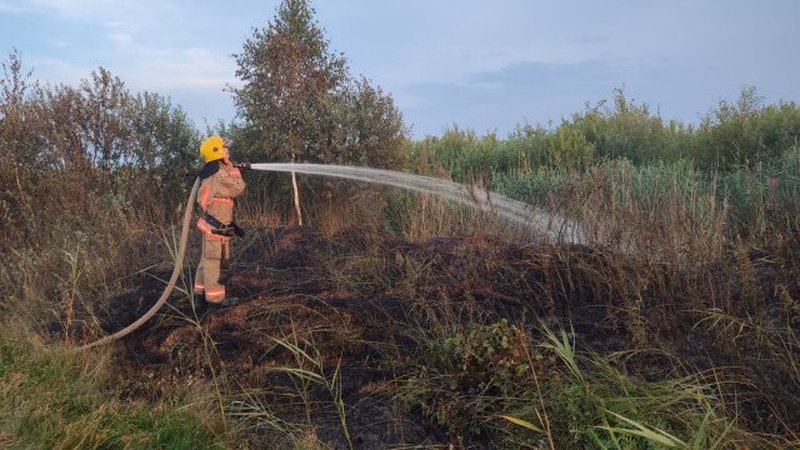 На Волині ліквідували 8 випадків загоряння трави