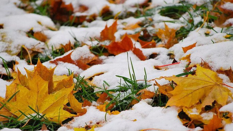 Сніг у низці областей: прогноз погоди на 18 листопада