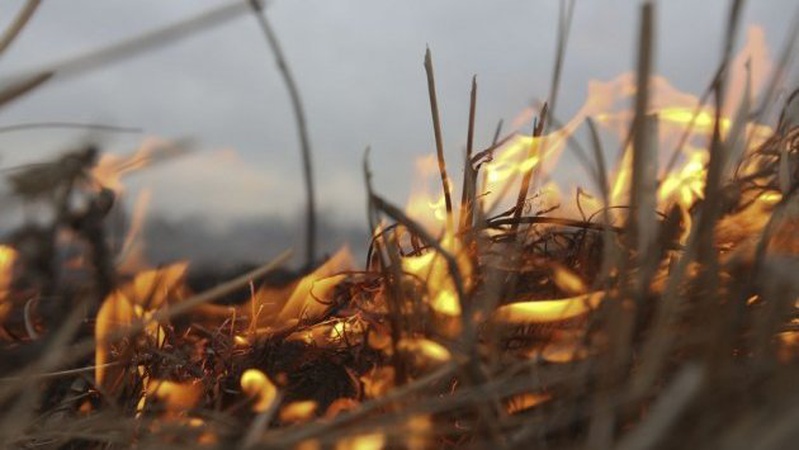 За спалювання трави волинянка заплатить 3 тисячі гривень штрафу