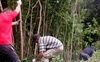 Біля Сапалаївки у Луцьку зріжуть 236 дерев та 46 кущів, – мер Луцька