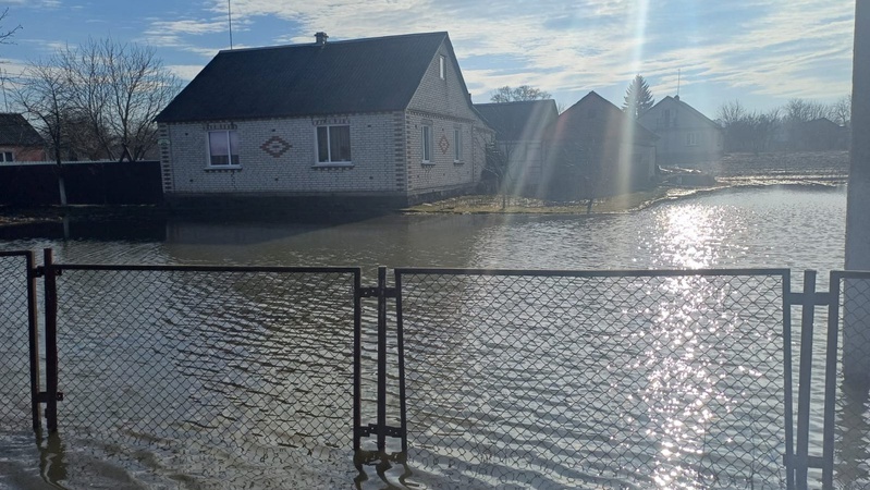 Волинські рятувальники відкачали воду з присадибної ділянки та провели аварійно-рятувальні роботи