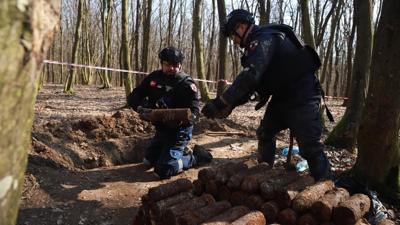 У лісі на Волині, де нещодавно підірвалися люди, піротехніки знайшли 167 артилерійських боєприпасів