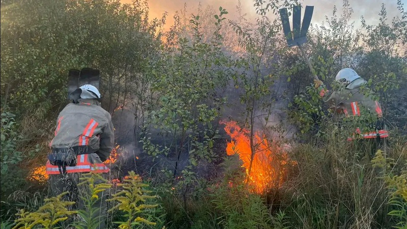 Рятувальники ліквідували 5 пожеж. ФОТО