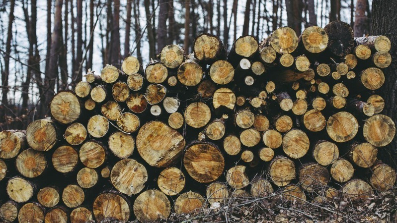 На Волині рівненчанин незаконно нарубав дров у нацпарку