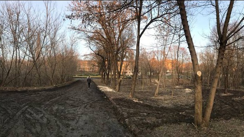 У Луцьку взялися за розчистку «дикої» частини Центрального парку
