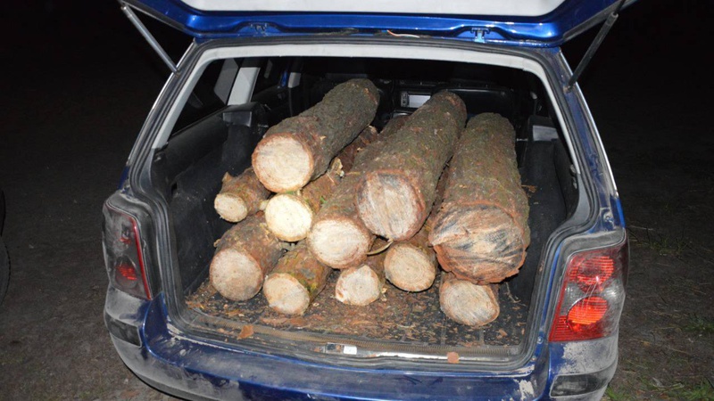 На Волині затримали трьох водіїв, авто яких були запаковані незаконною деревиною