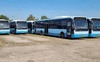 На дороги Луцька планують випустити ще 22 списаних автобусів з Європи