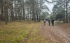 Шостий день тривають пошуки зниклої 17-річної студентки: обстежено близько 15 км лісу
