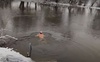 «Моржі» – не ті, що купаються, а потім замерзають», – луцький «морж» про занурення в холодну воду. ВІДЕО