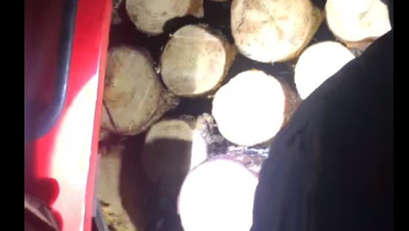 У мікроавтобусі волинського депутата поліція виявила нелегальну деревину. ВІДЕО
