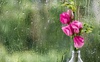 Короткочасні дощі, подекуди з грозами: погода на 31 травня