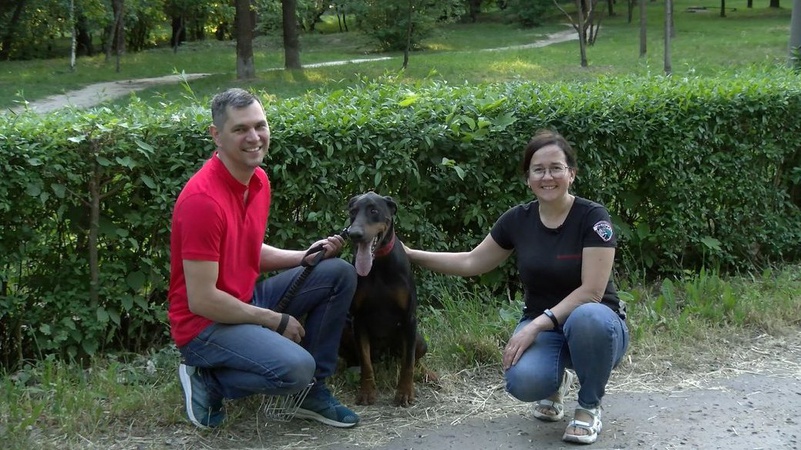 Як волонтери з Луцька допомагають тваринам під час війни
