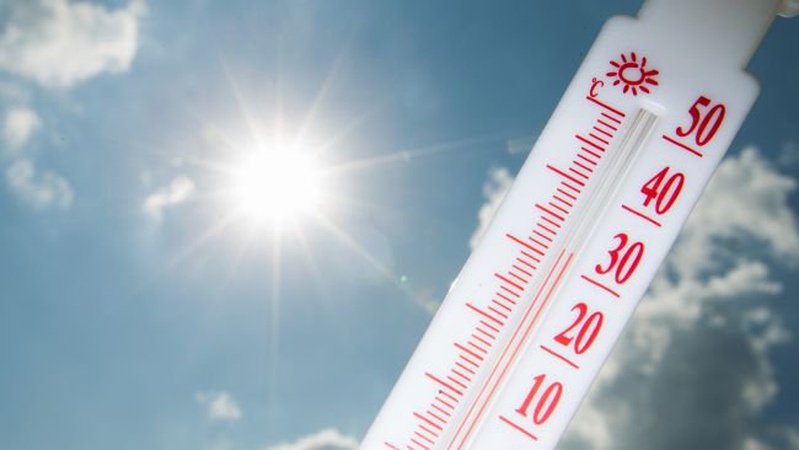 Погодні підсумки 2023 року: Луцьк став найтеплішим за час спостережень