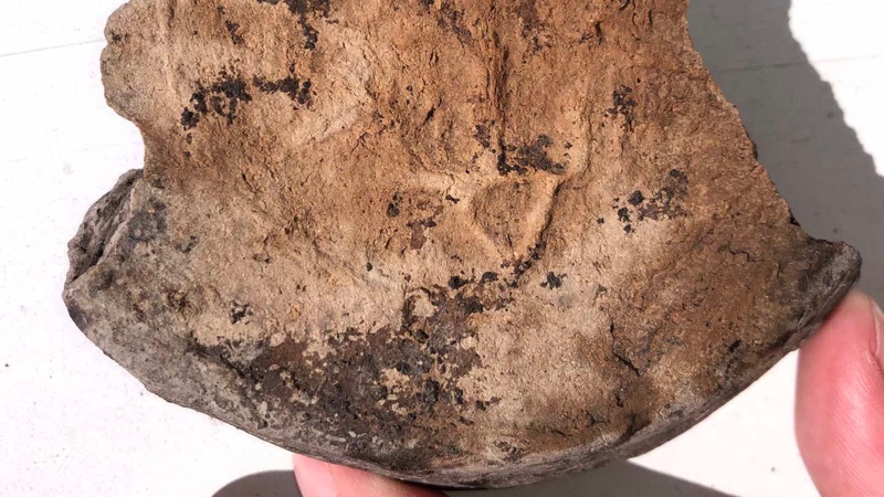 На Волині археологи знайшли елемент давньоруської кераміки з тавром тризуба