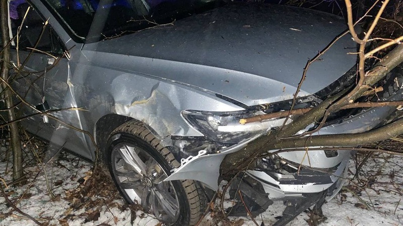 П’яна 23-річна мешканка Нововолинська заїхала у хащі і пошкодила авто. ФОТО