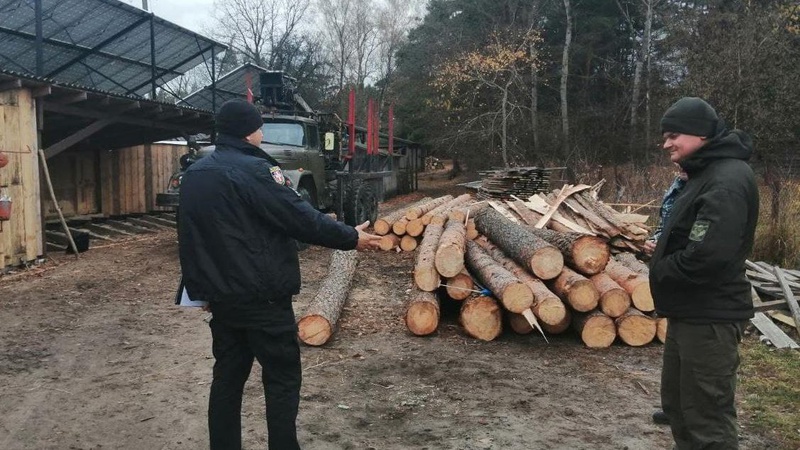 Поруч з волинською пилорамою виявили незаконно зрубаний ліс
