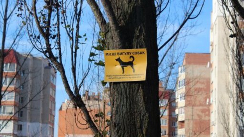 Поліщук повідомив, чи будуть в Луцьку нові майданчики для вигулу собак