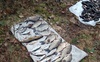 Наловив риби на 120 тисяч грн: на Волині піймали браконьєра
