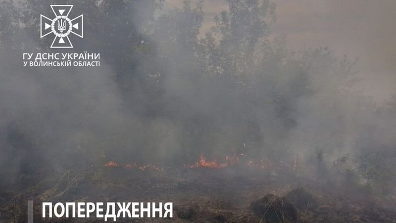 Волинські рятувальники попереджають про високу пожежну небезпеку на вихідні