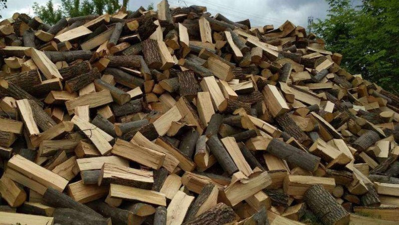 800-1000 гривень за куб: де продають найдорожчі дрова на Волині