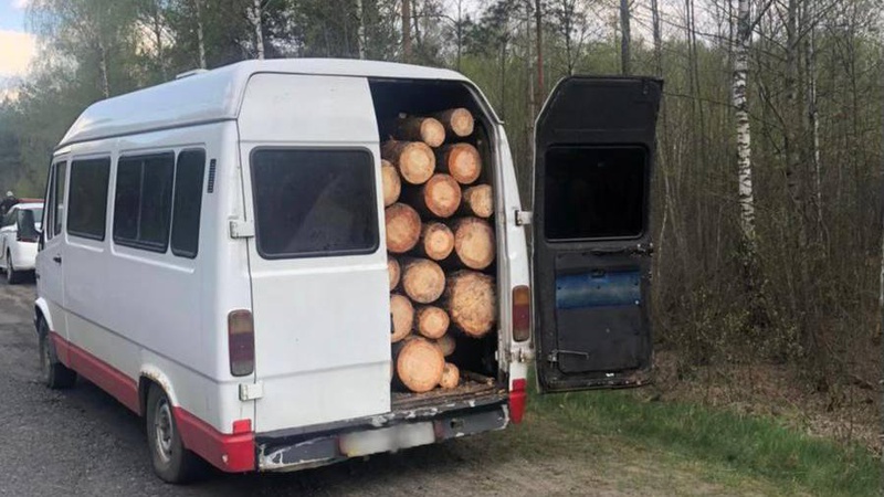 На Волині затримали вантажівку, «напаковану» краденою деревиною
