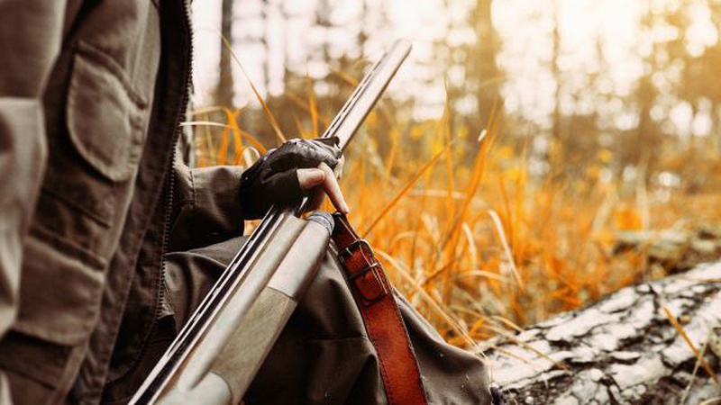 Волинянина, який під час незаконного полювання побив єгеря, засудили до 4-х років
