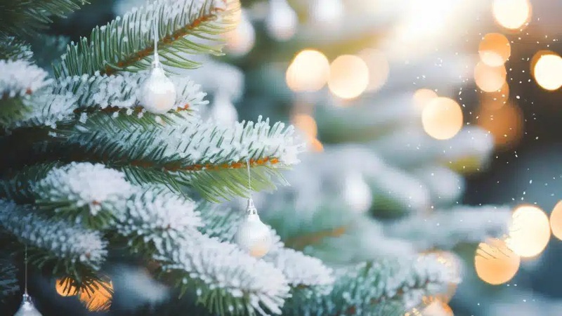 Волинські синоптики розповіли, якою буде погода на Різдво та Новий рік