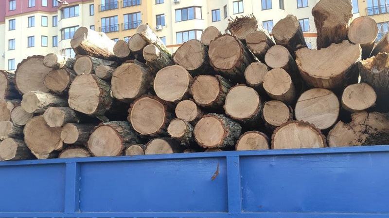 У Луцьку на Набережній патрульні затримали вантажівку з деревиною без документів