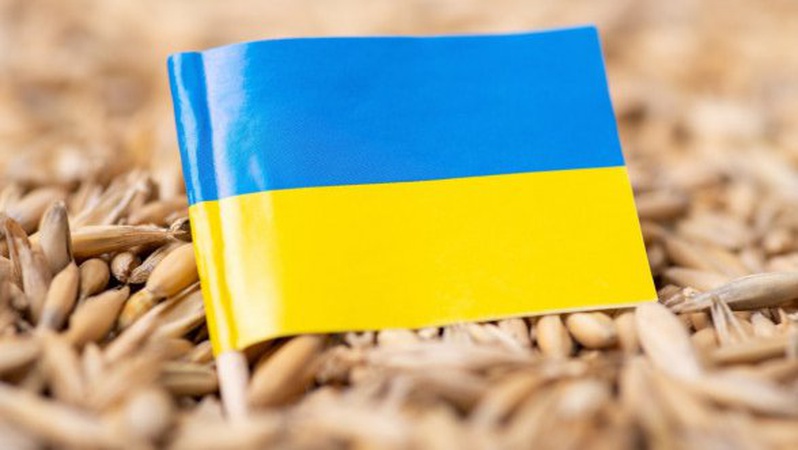 Україна та Польща відновлять переговори про транзит зерна